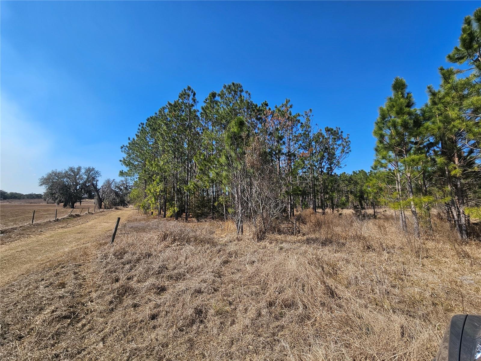 13308 DUCK LAKE CANAL RD — photo 63