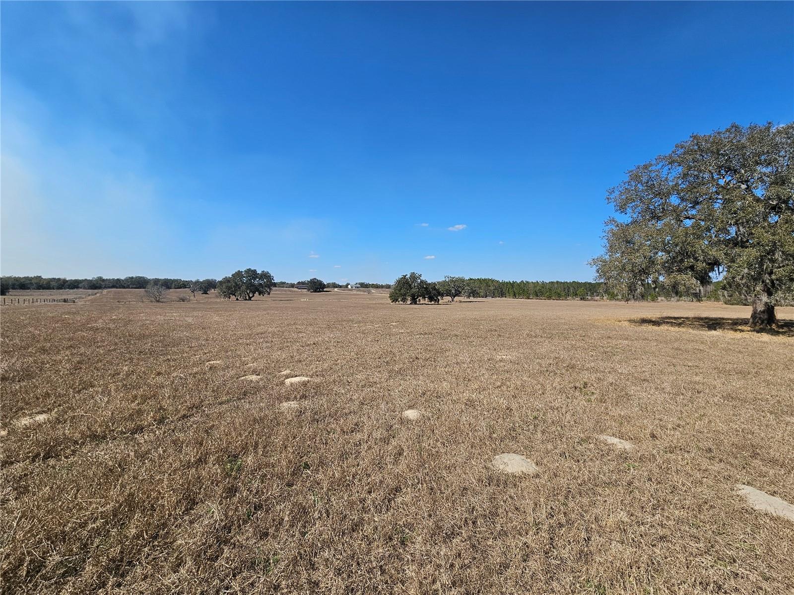 13308 DUCK LAKE CANAL RD — photo 57