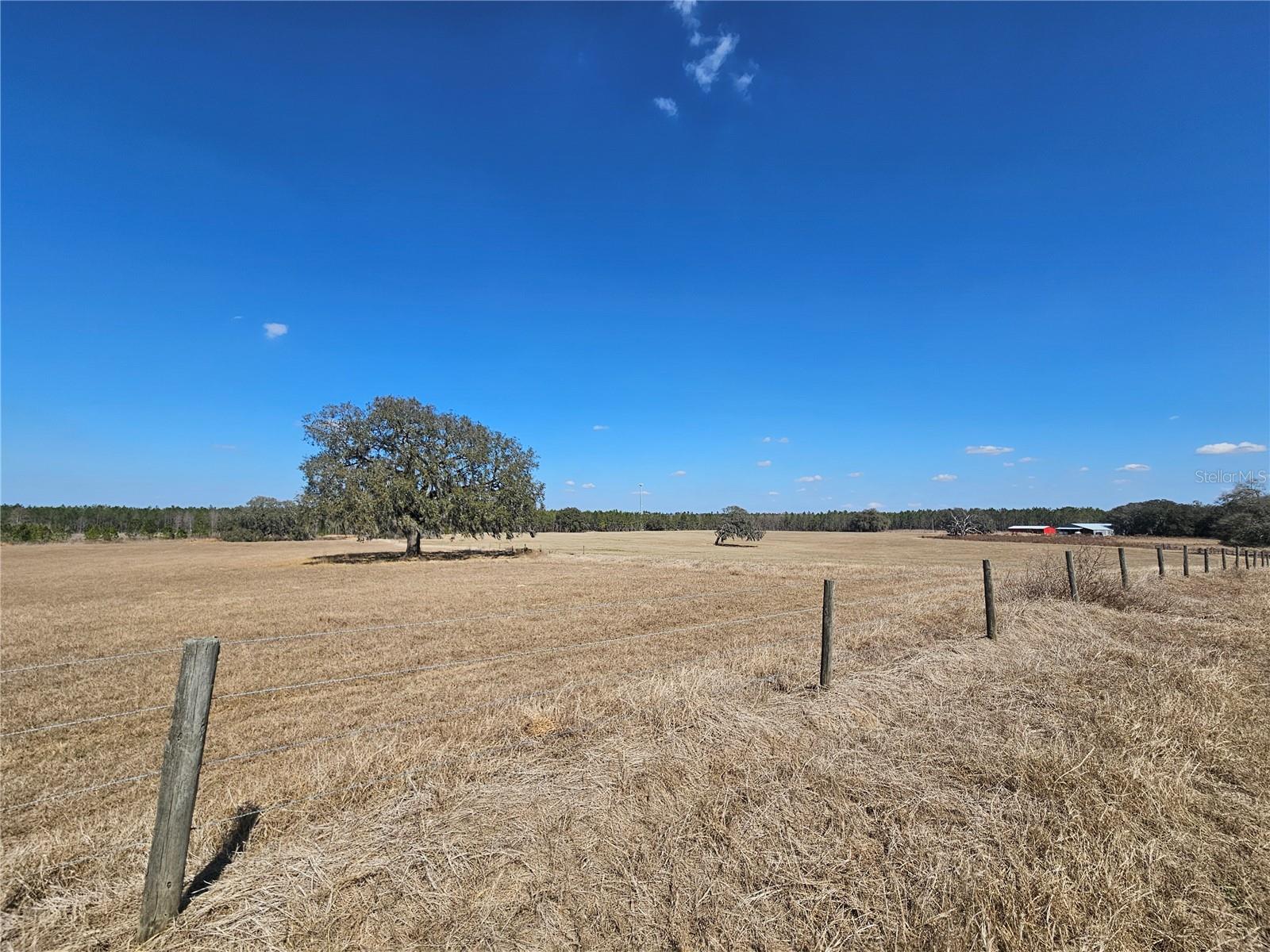 13308 DUCK LAKE CANAL RD — photo 54