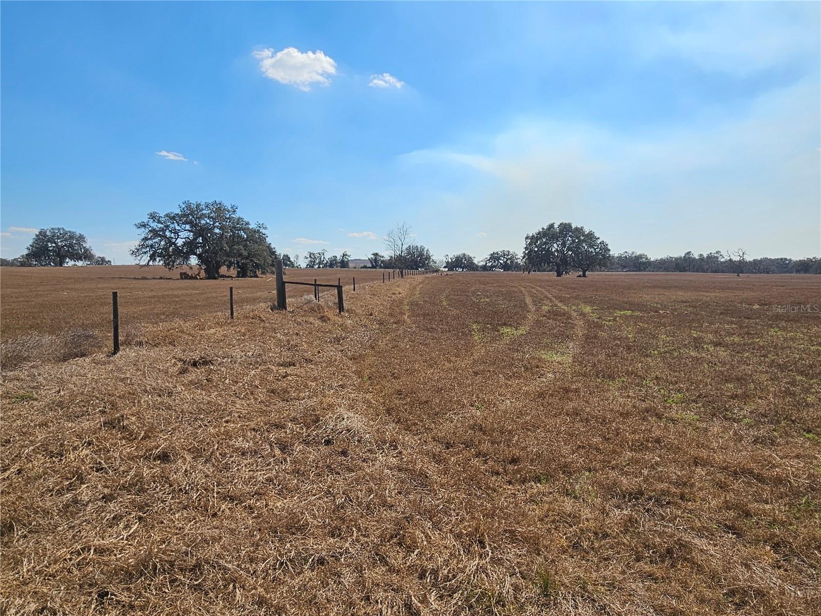 13308 DUCK LAKE CANAL RD — photo 61