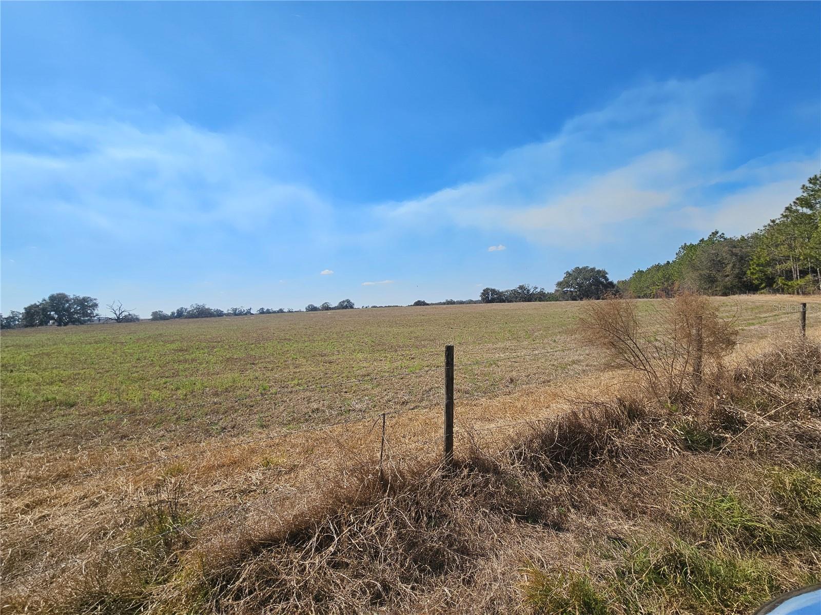 13308 DUCK LAKE CANAL RD — photo 42