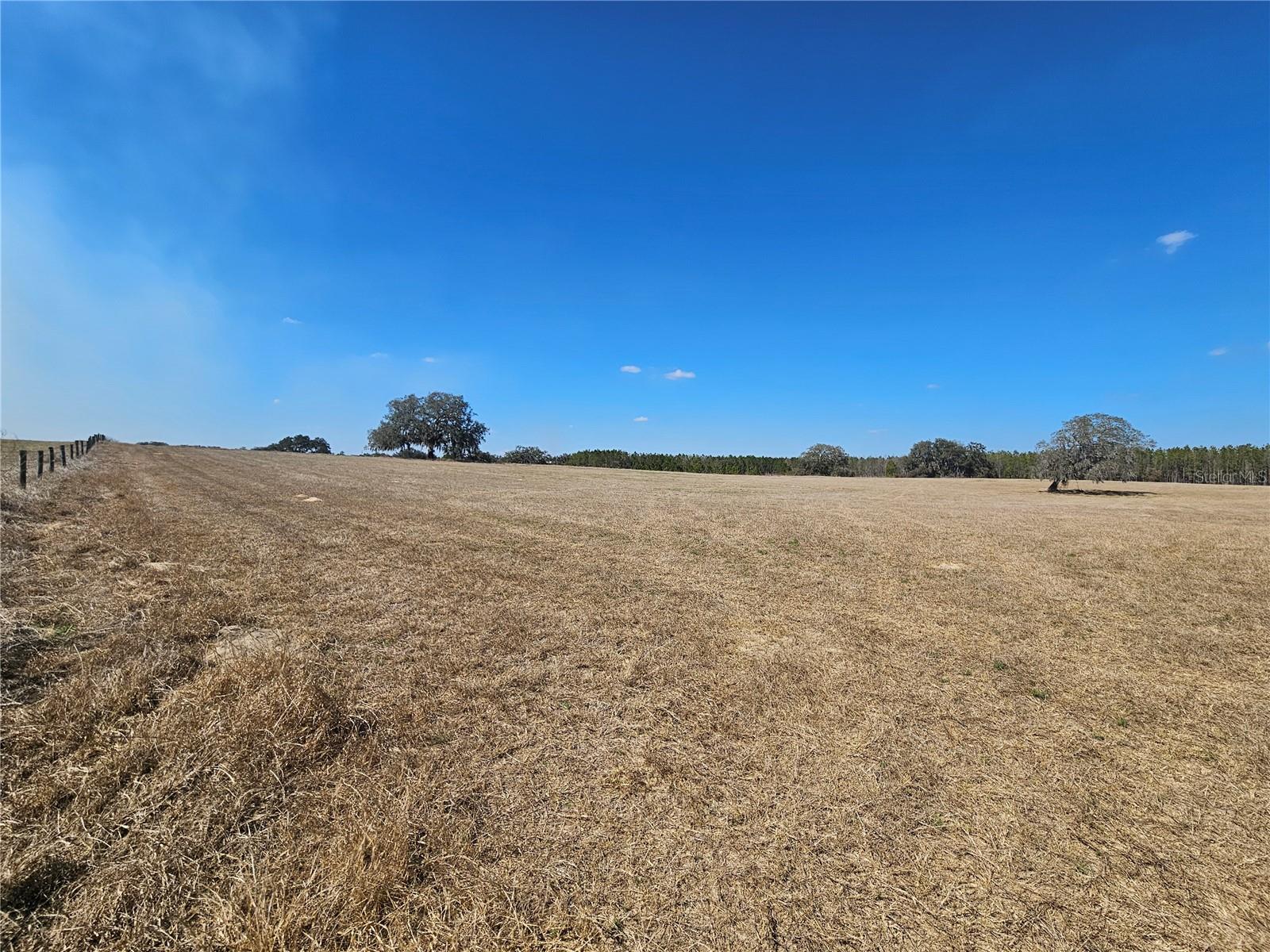 13308 DUCK LAKE CANAL RD — photo 55