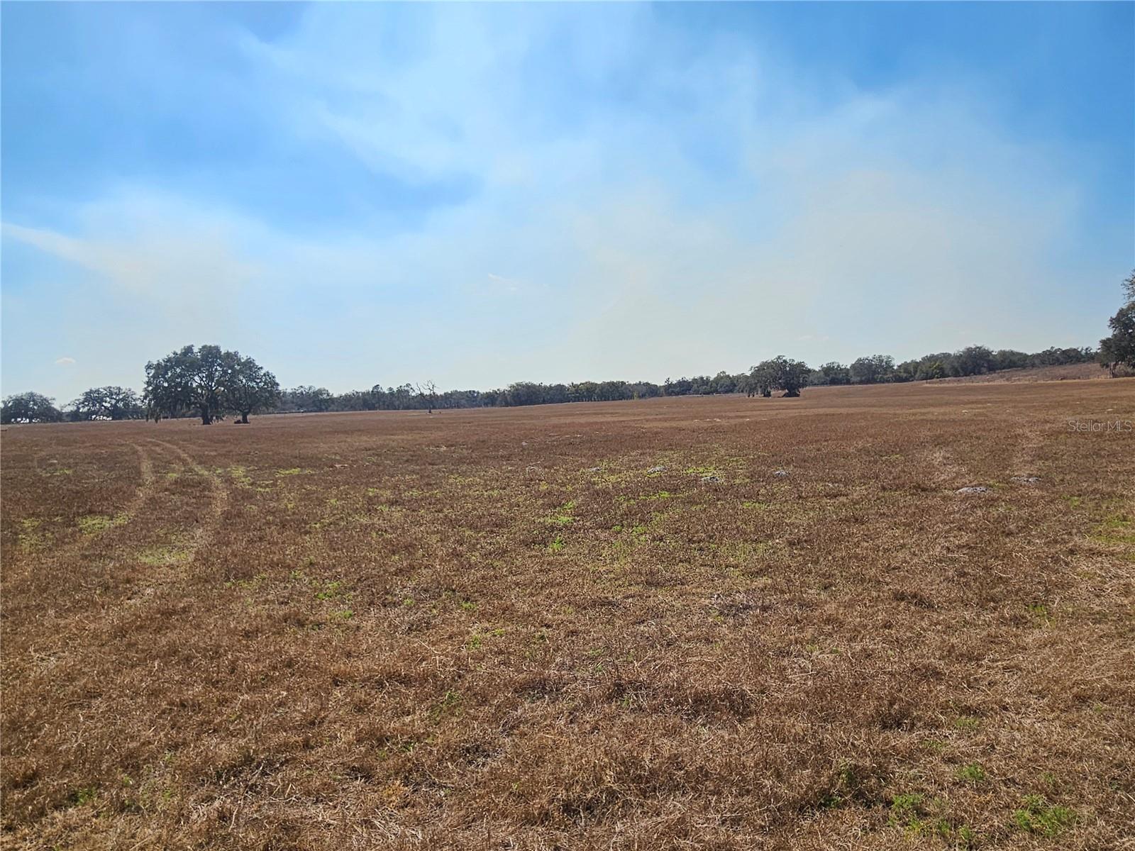 13308 DUCK LAKE CANAL RD — photo 62