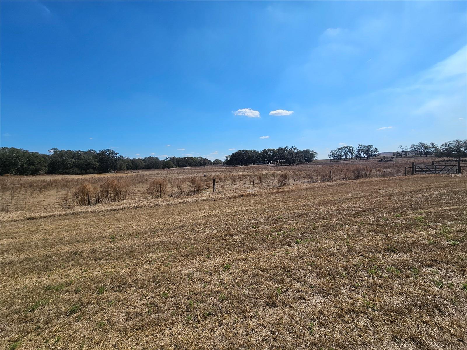 13308 DUCK LAKE CANAL RD — photo 48