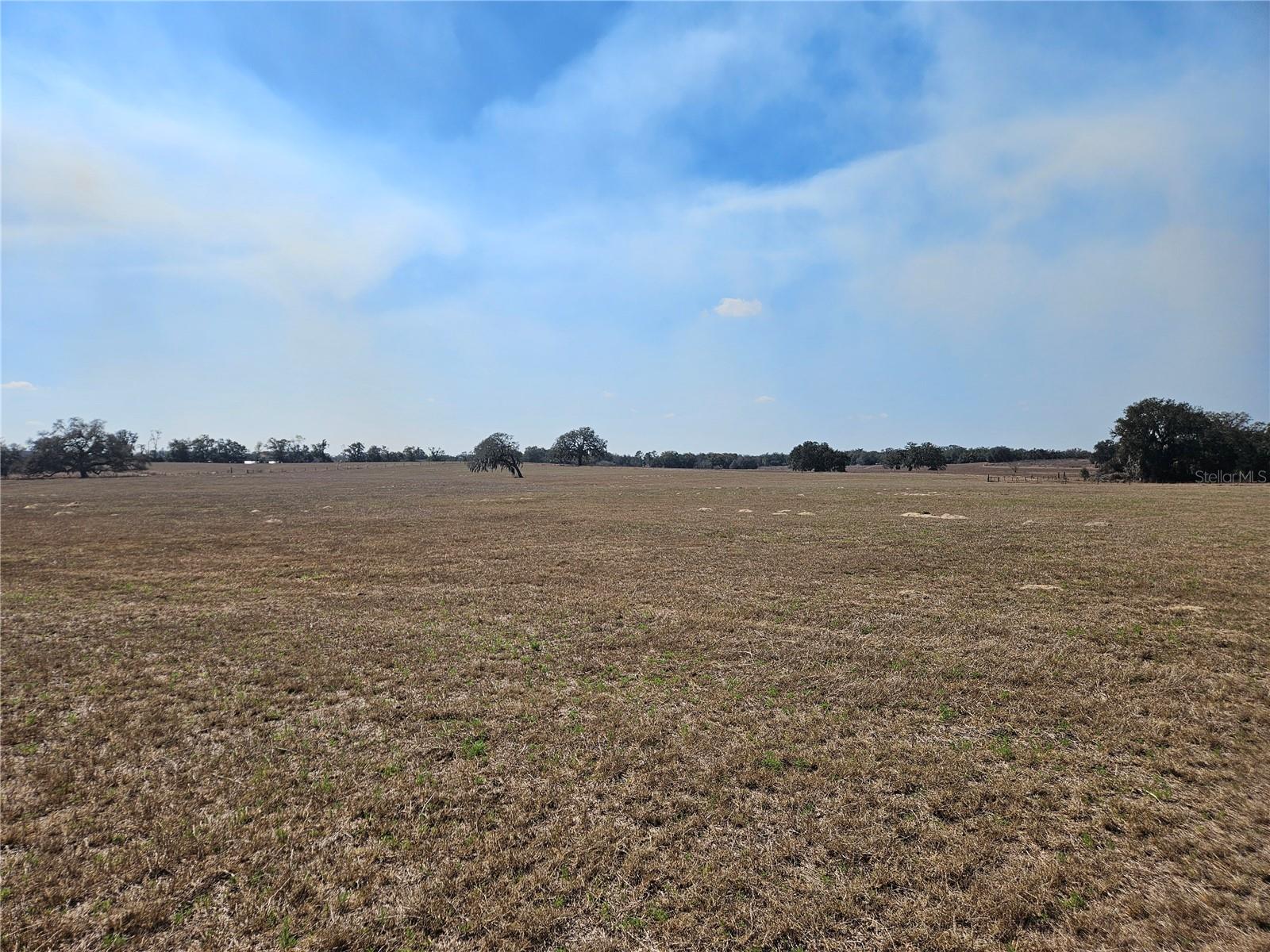 13308 DUCK LAKE CANAL RD — photo 47
