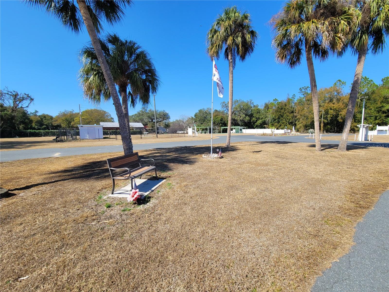 39438 ROCKFORD AVE — photo 49