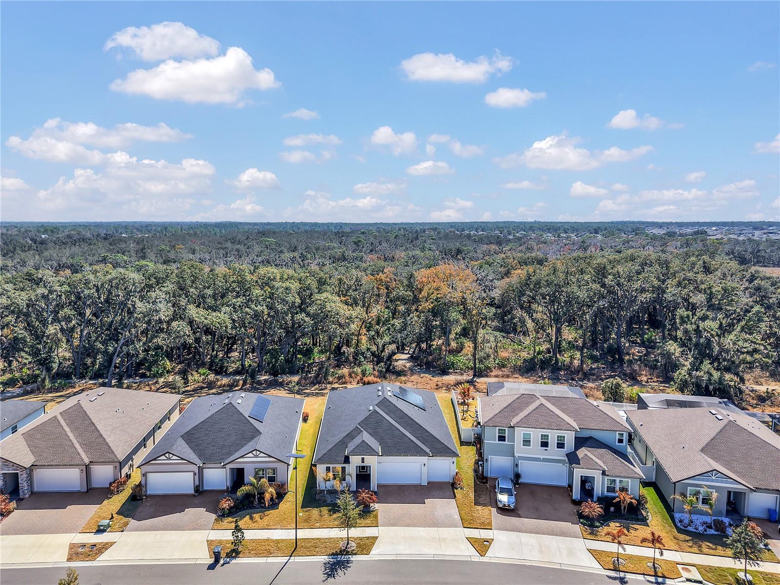 12853 BERGSTROM BAY DR — photo 57