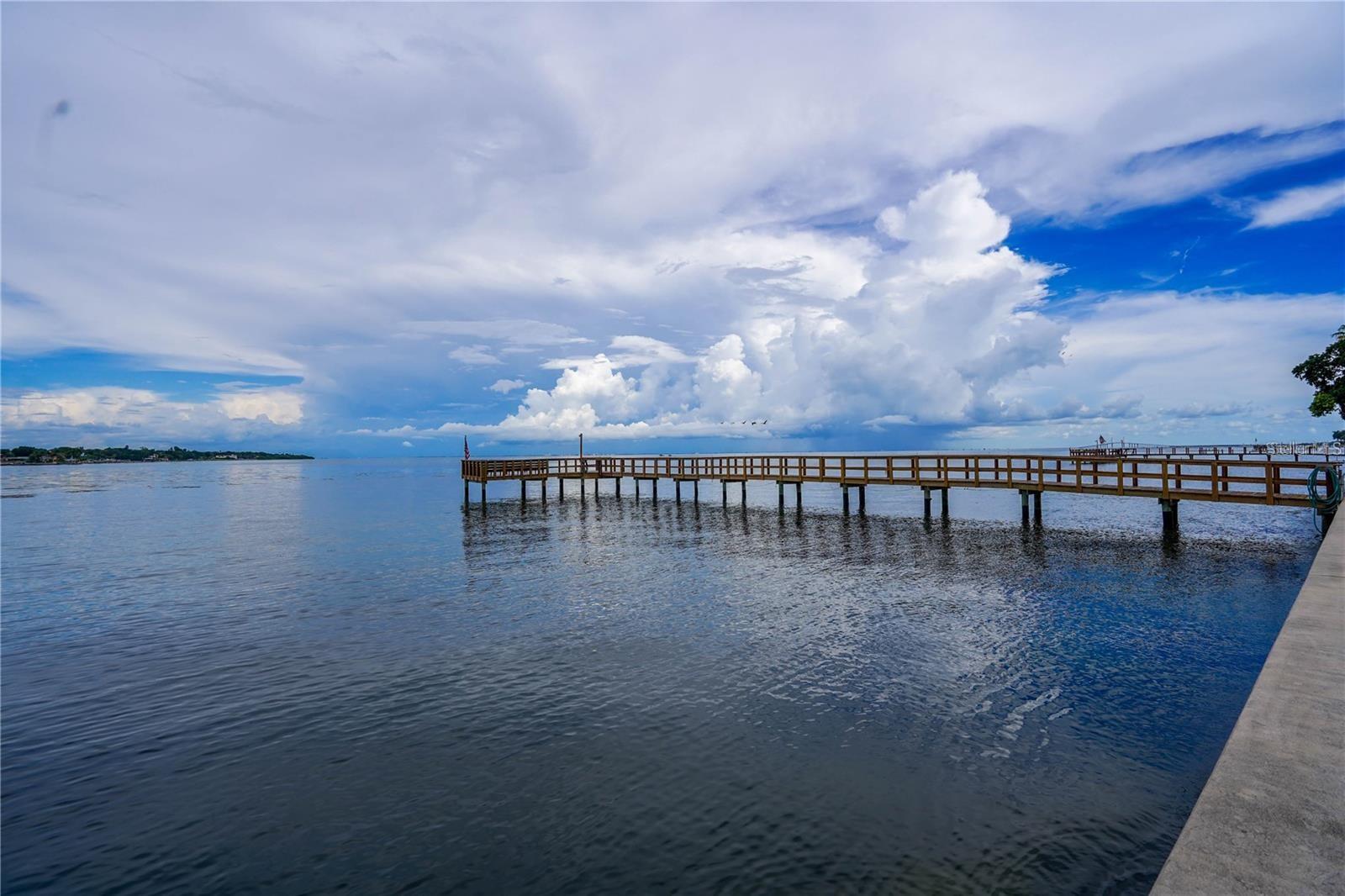 7100 SUNSHINE SKYWAY LN S #201 — photo 39