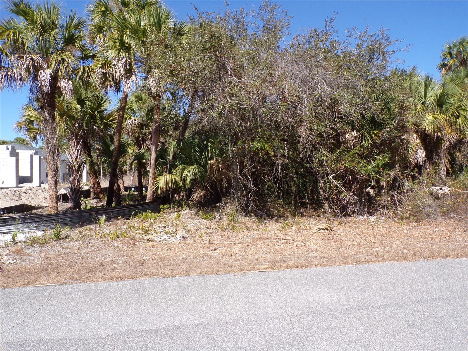 LAS ALMANOS AVE — photo 2