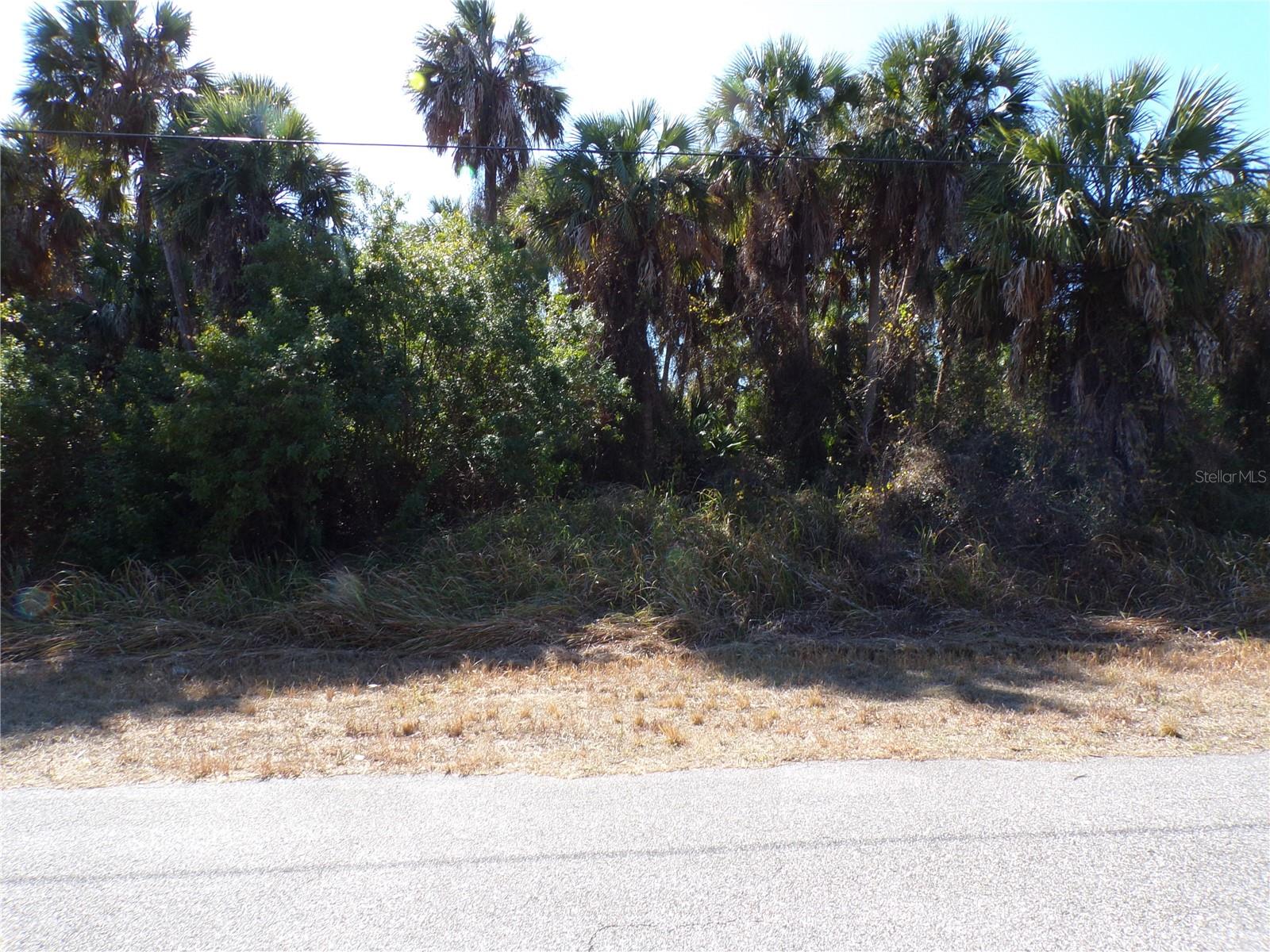 ALBATROS LN — photo 5