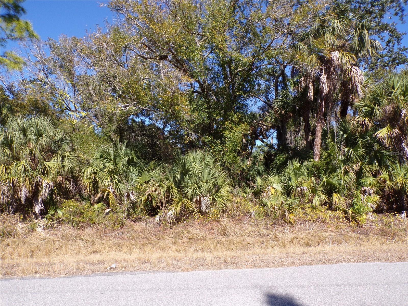RENICK LN — photo 5