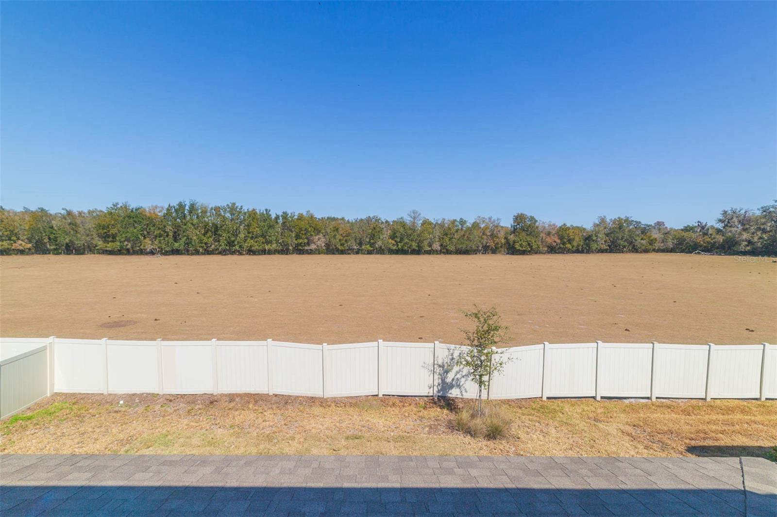 3044 FOREST MEADOW AVE — photo 51