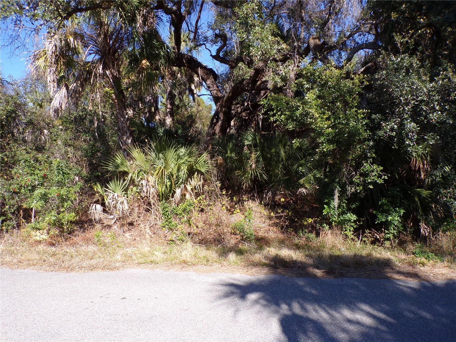 BENNETT LN — photo 5