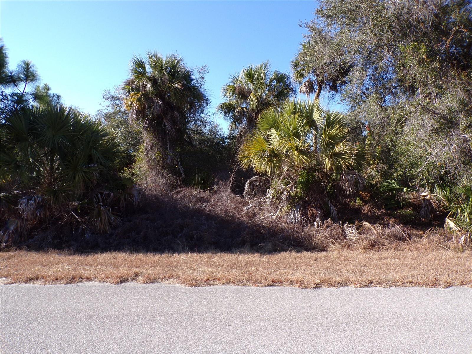 CASCO CIR — photo 5