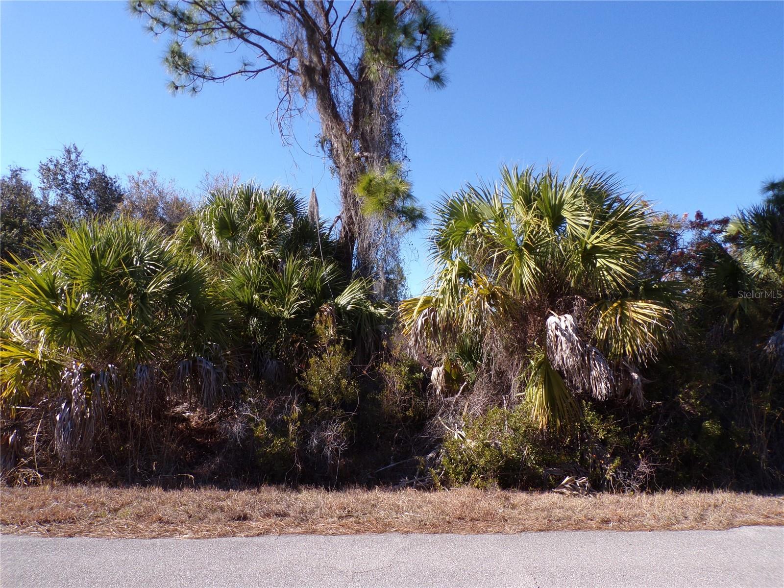 CASCO CIR — photo 2