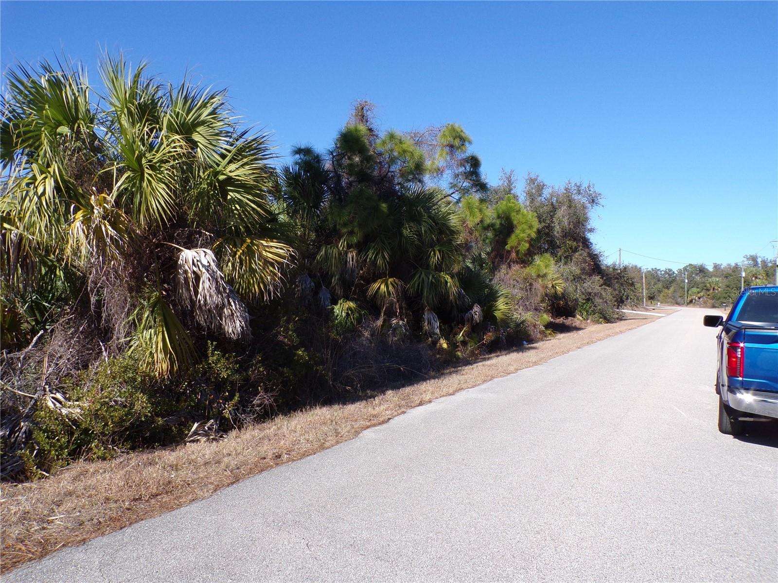 CASCO CIR — photo 3