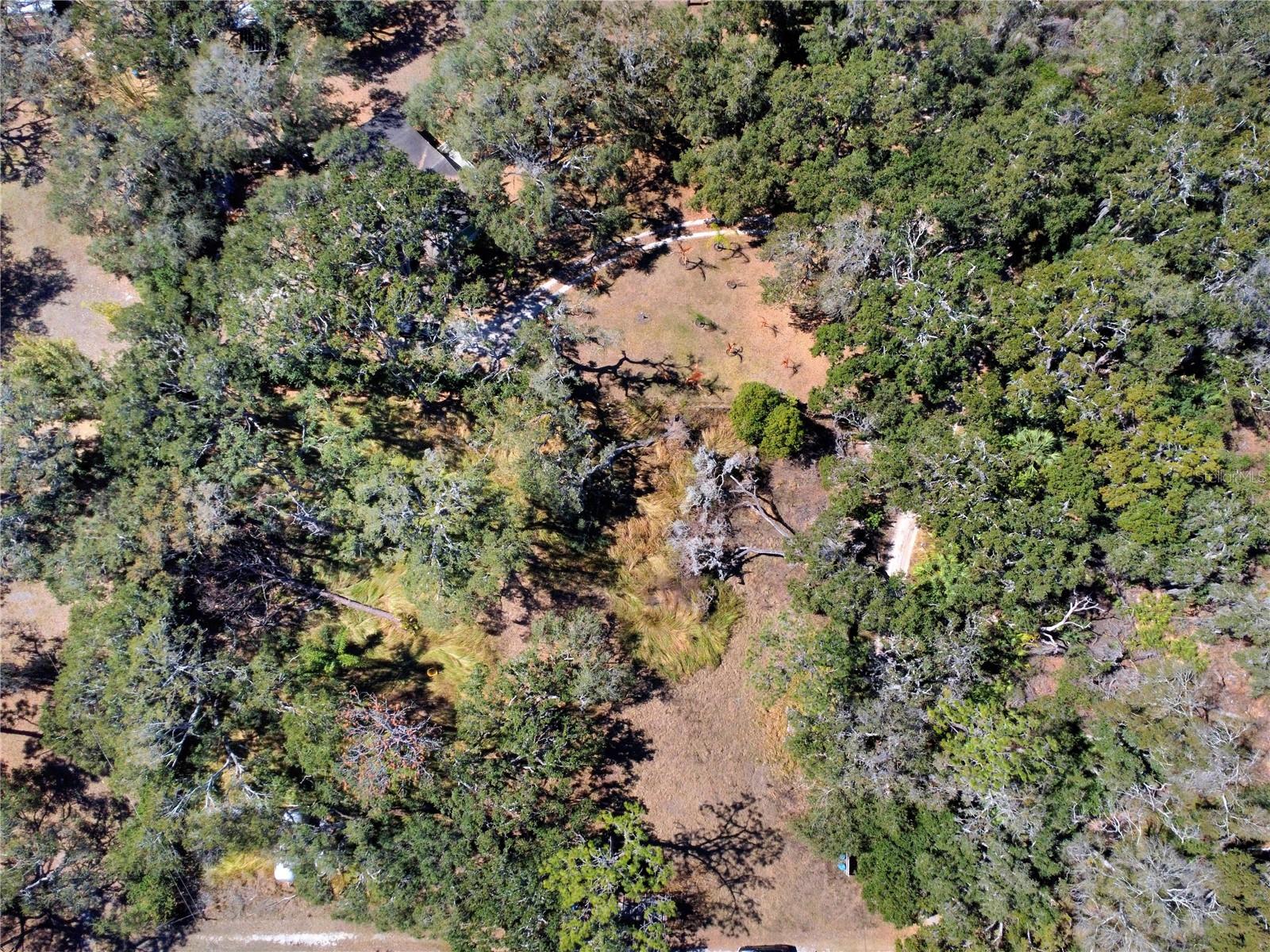 12111 FRED DR — photo 13