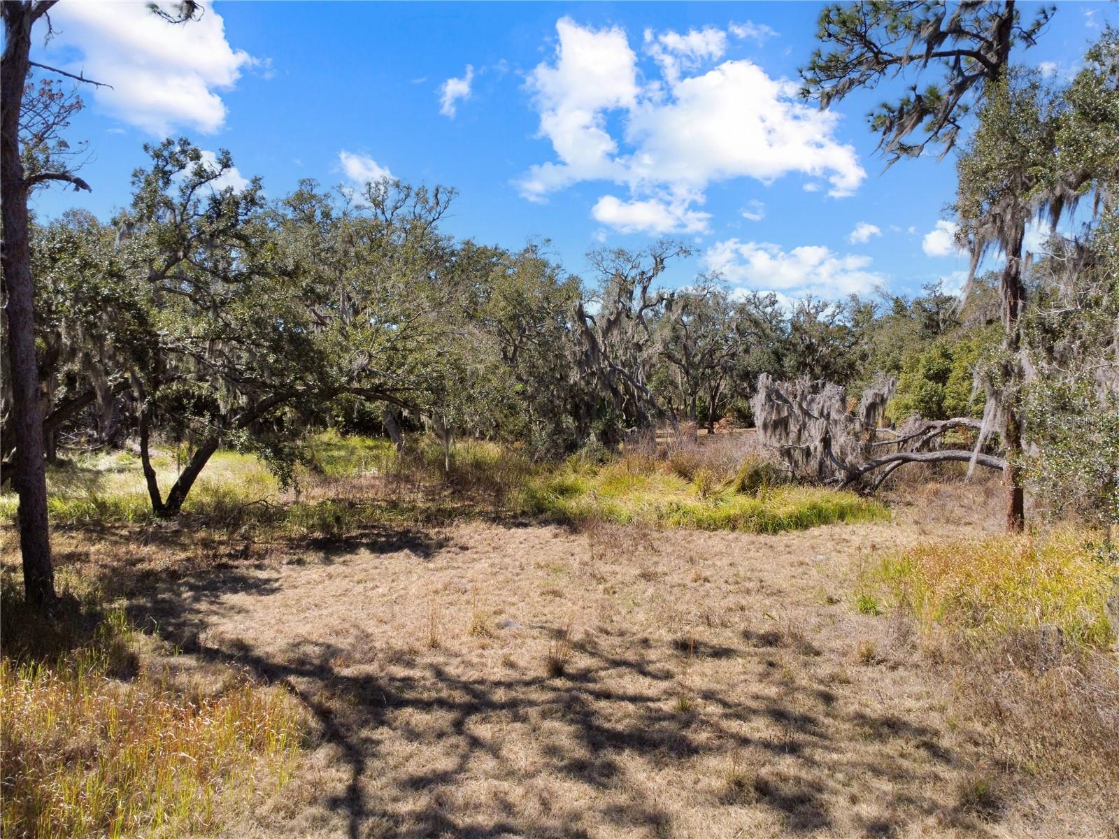 12111 FRED DR — photo 11