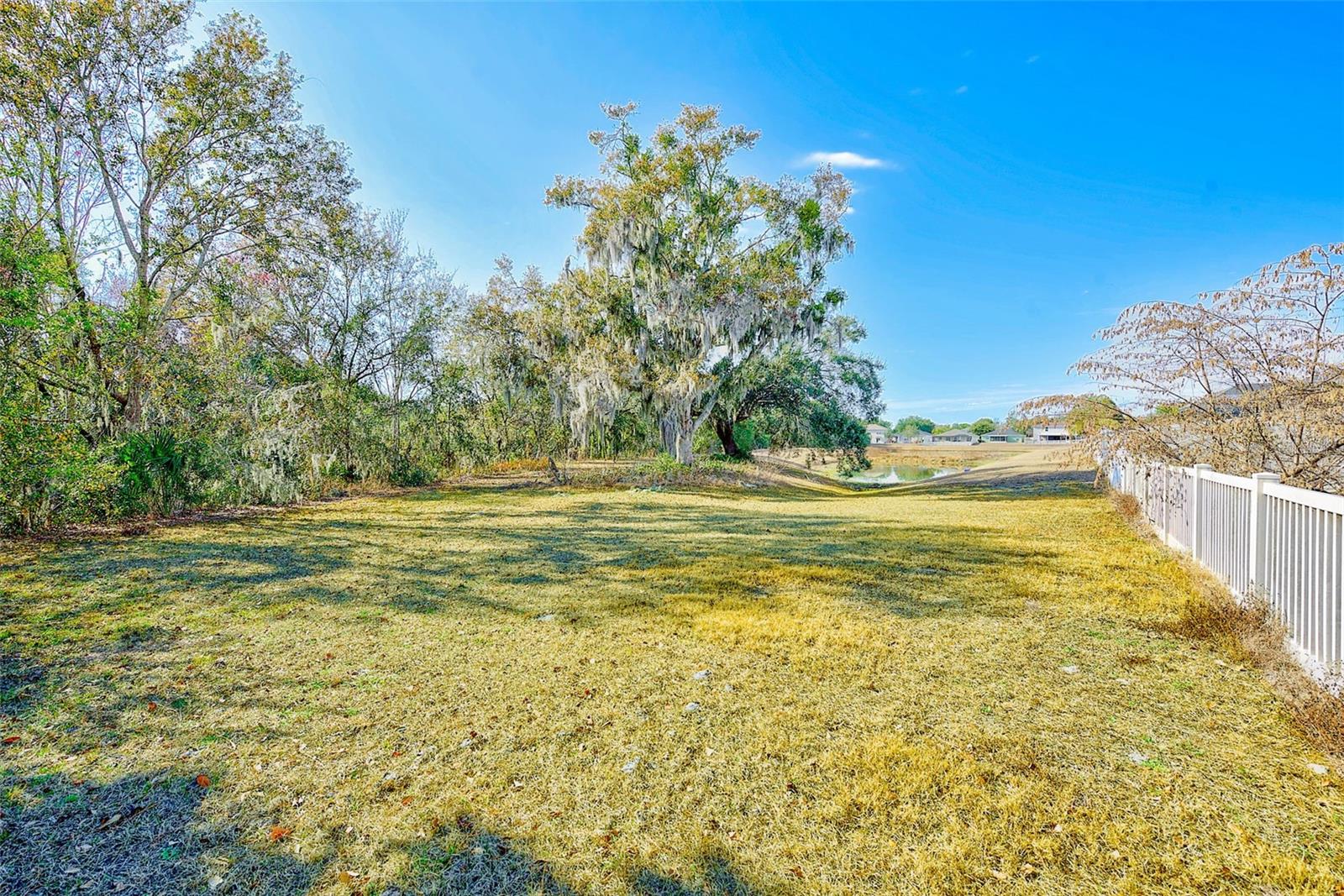 11159 RUNNING PINE DR — photo 45
