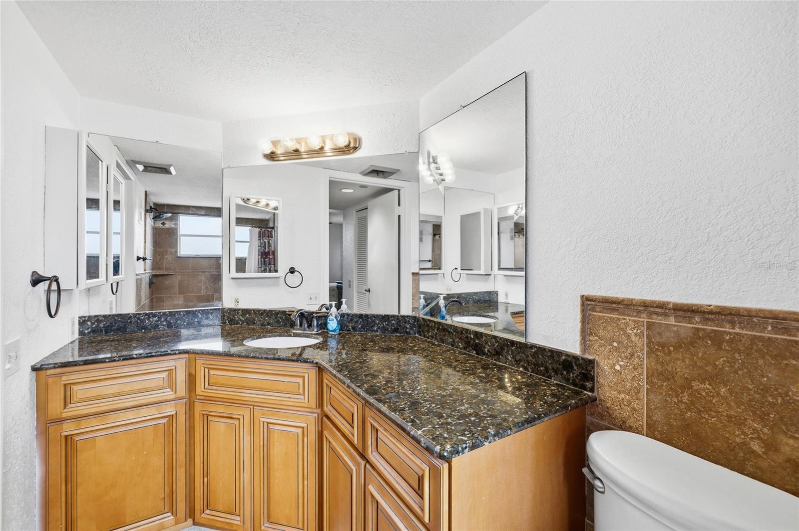 2333 FEATHER SOUND DR #A101 — photo 7