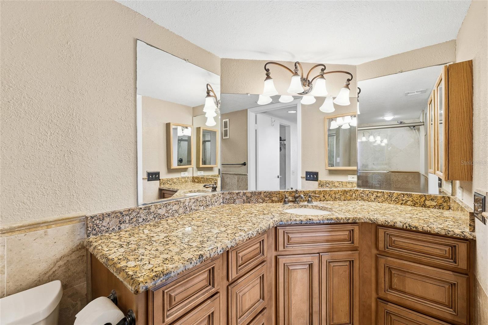 2333 FEATHER SOUND DR #A101 — photo 16