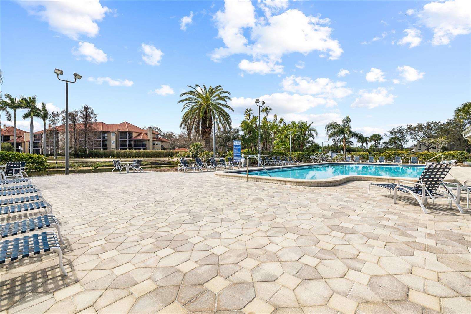 2333 FEATHER SOUND DR #A101 — photo 24