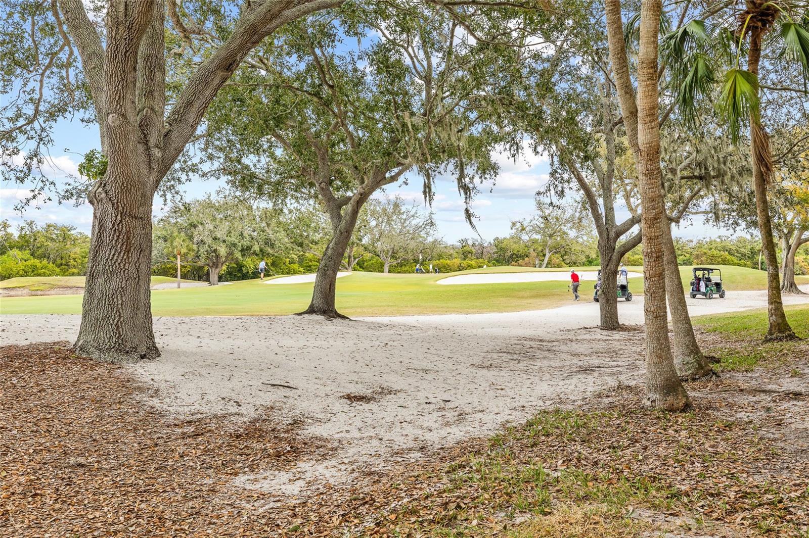 2333 FEATHER SOUND DR #A101 — photo 41