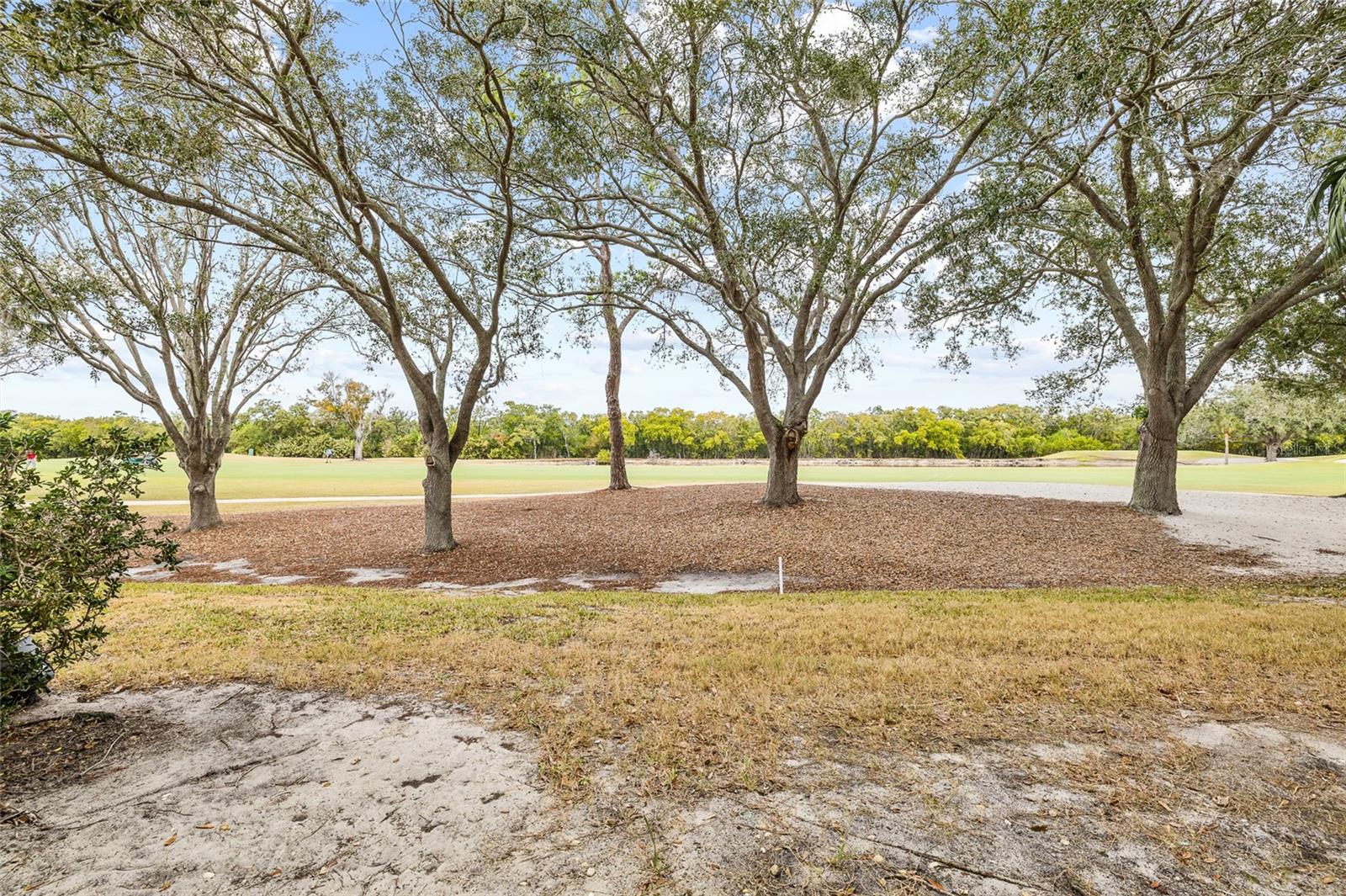 2333 FEATHER SOUND DR #A101 — photo 46