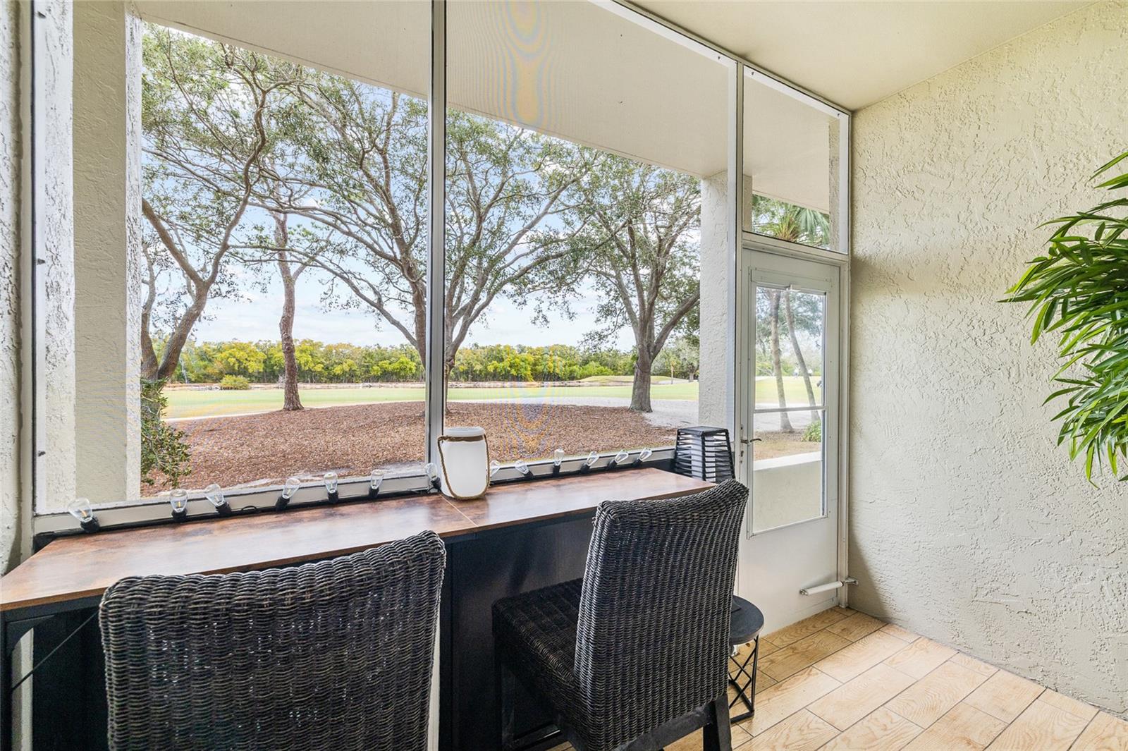 2333 FEATHER SOUND DR #A101 — photo 5