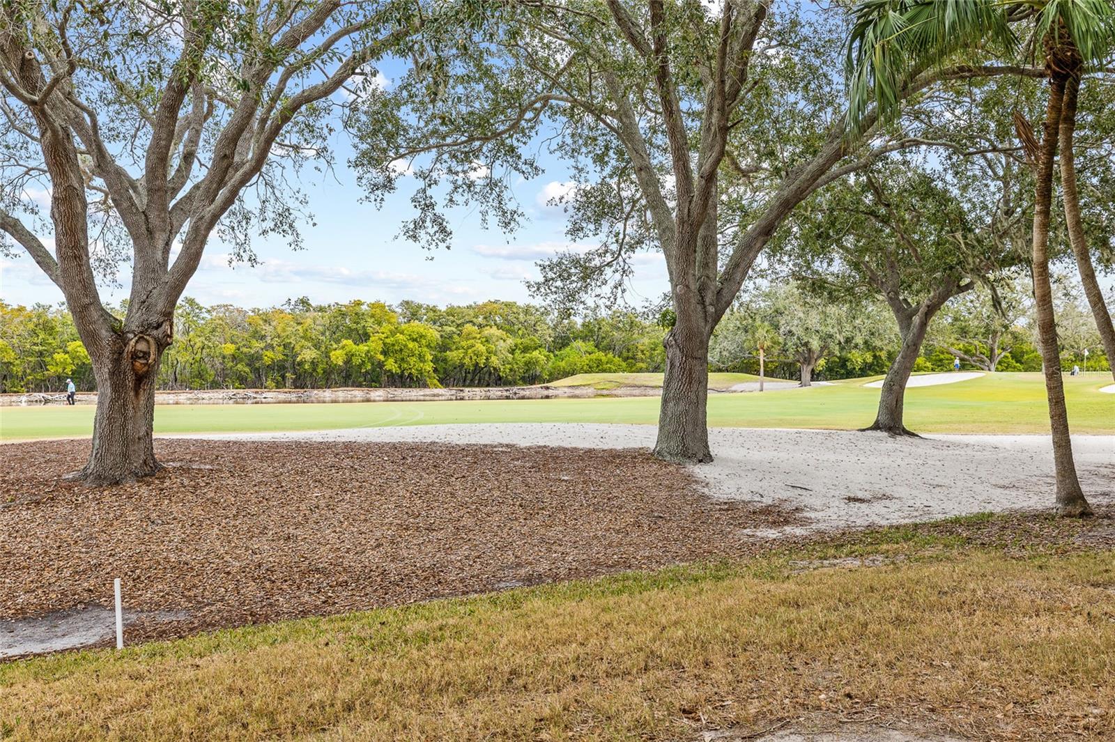 2333 FEATHER SOUND DR #A101 — photo 45