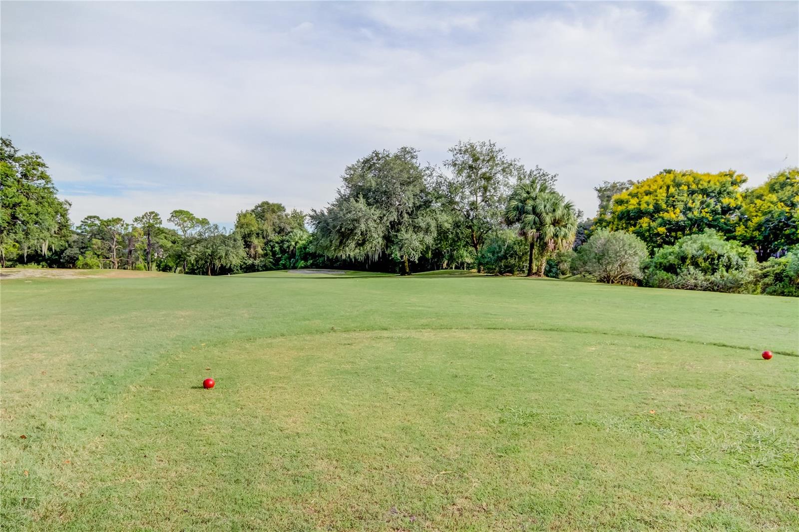 1795 BAYHILL DR — photo 61
