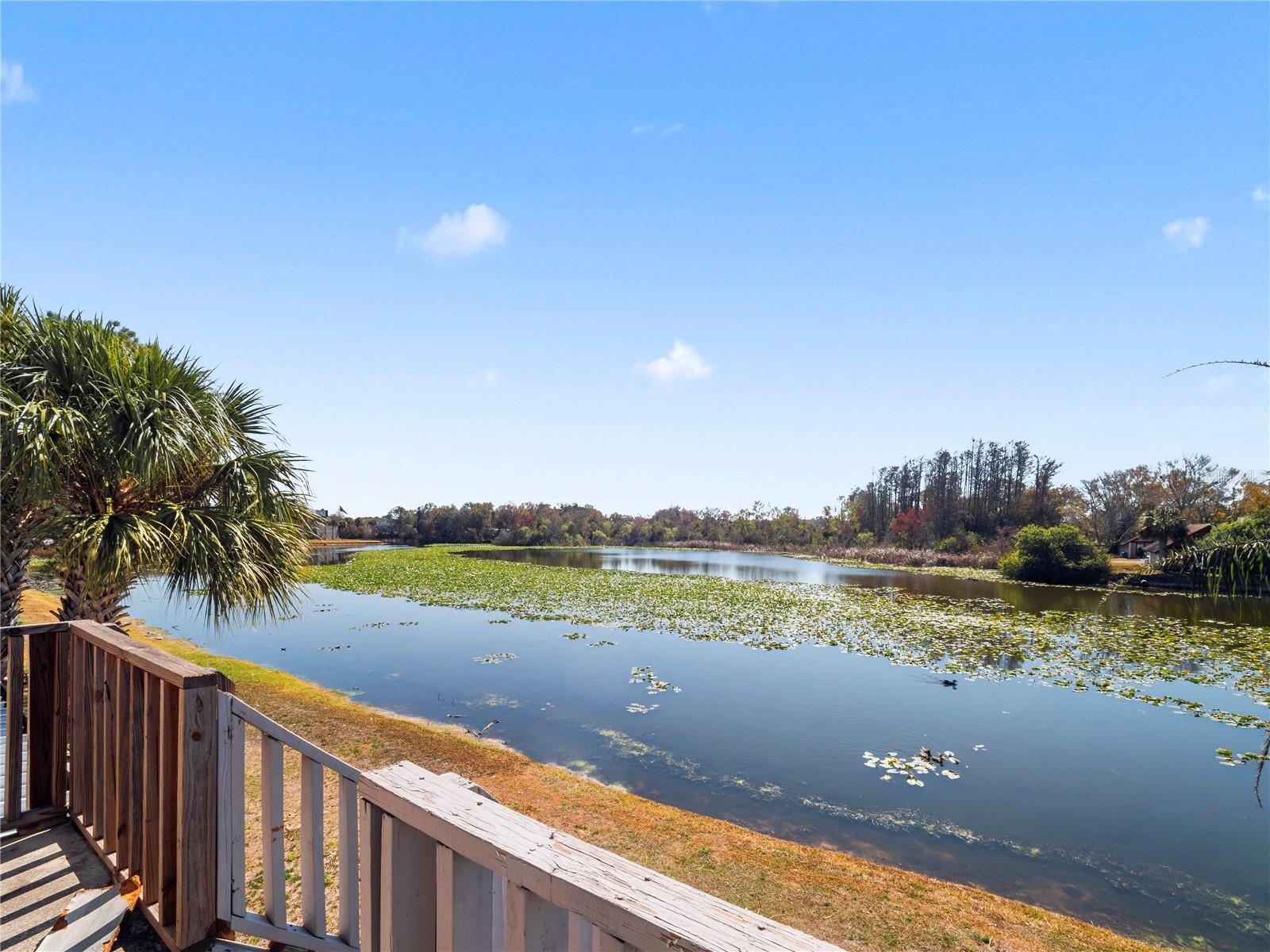 4036 CORTEZ DR #D — photo 30