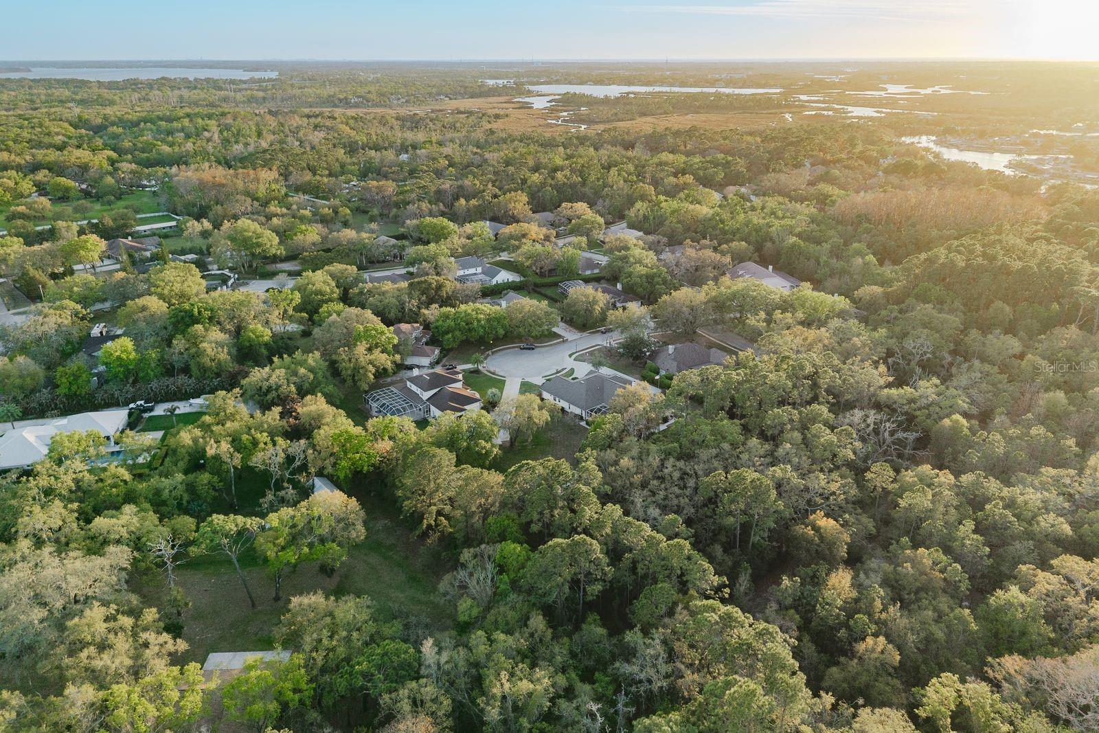 6207 CLAIRE DE LUNE CT — photo 79