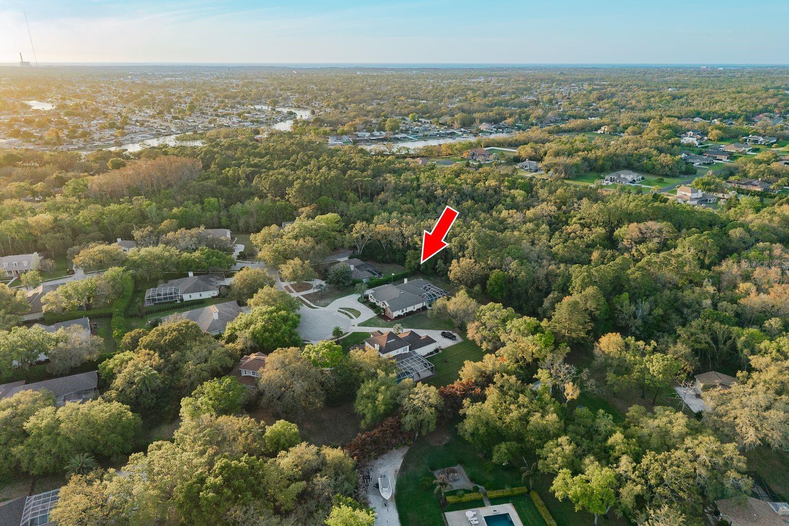 6207 CLAIRE DE LUNE CT — photo 78