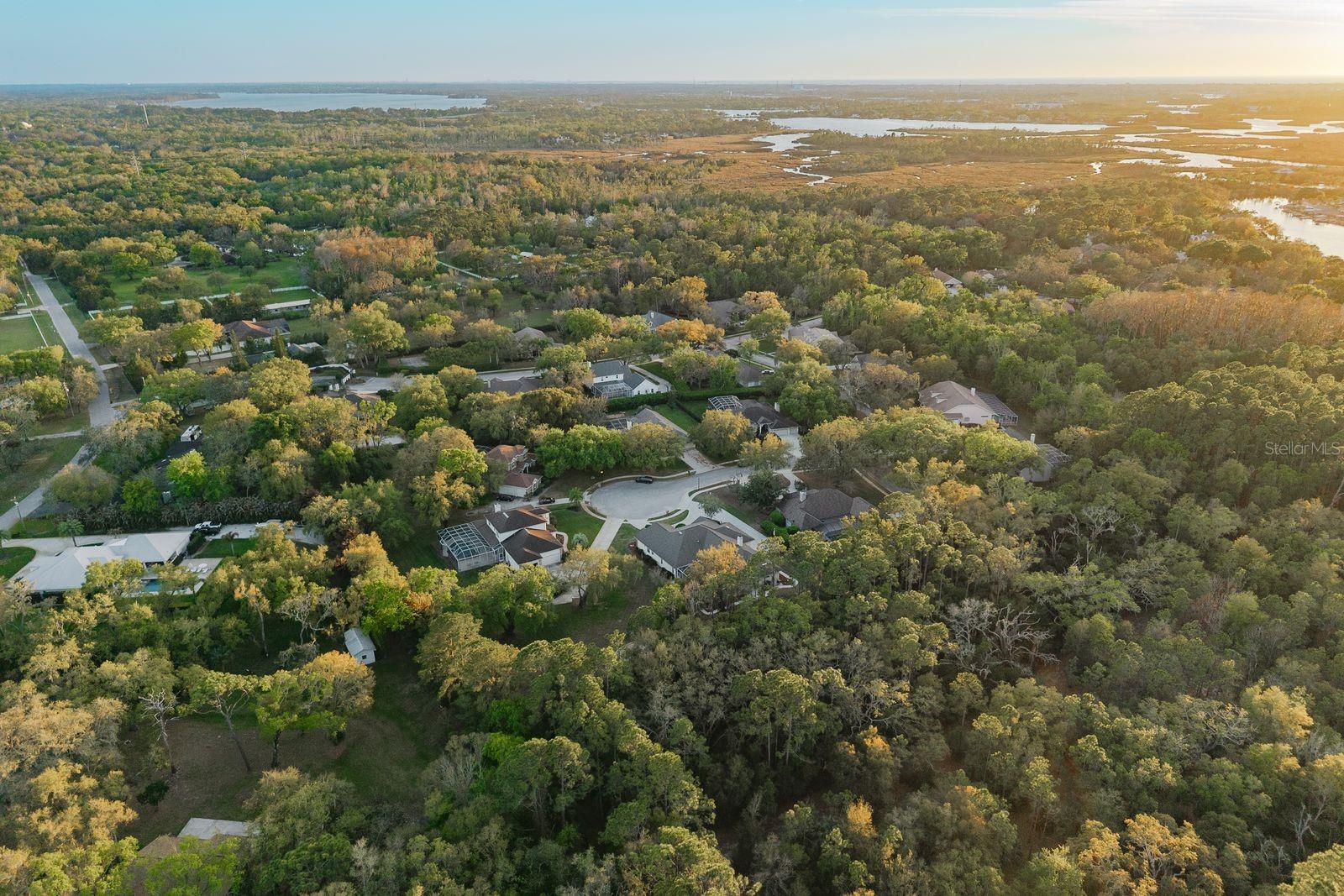 6207 CLAIRE DE LUNE CT — photo 83