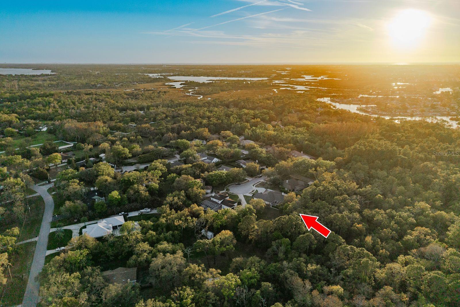 6207 CLAIRE DE LUNE CT — photo 80