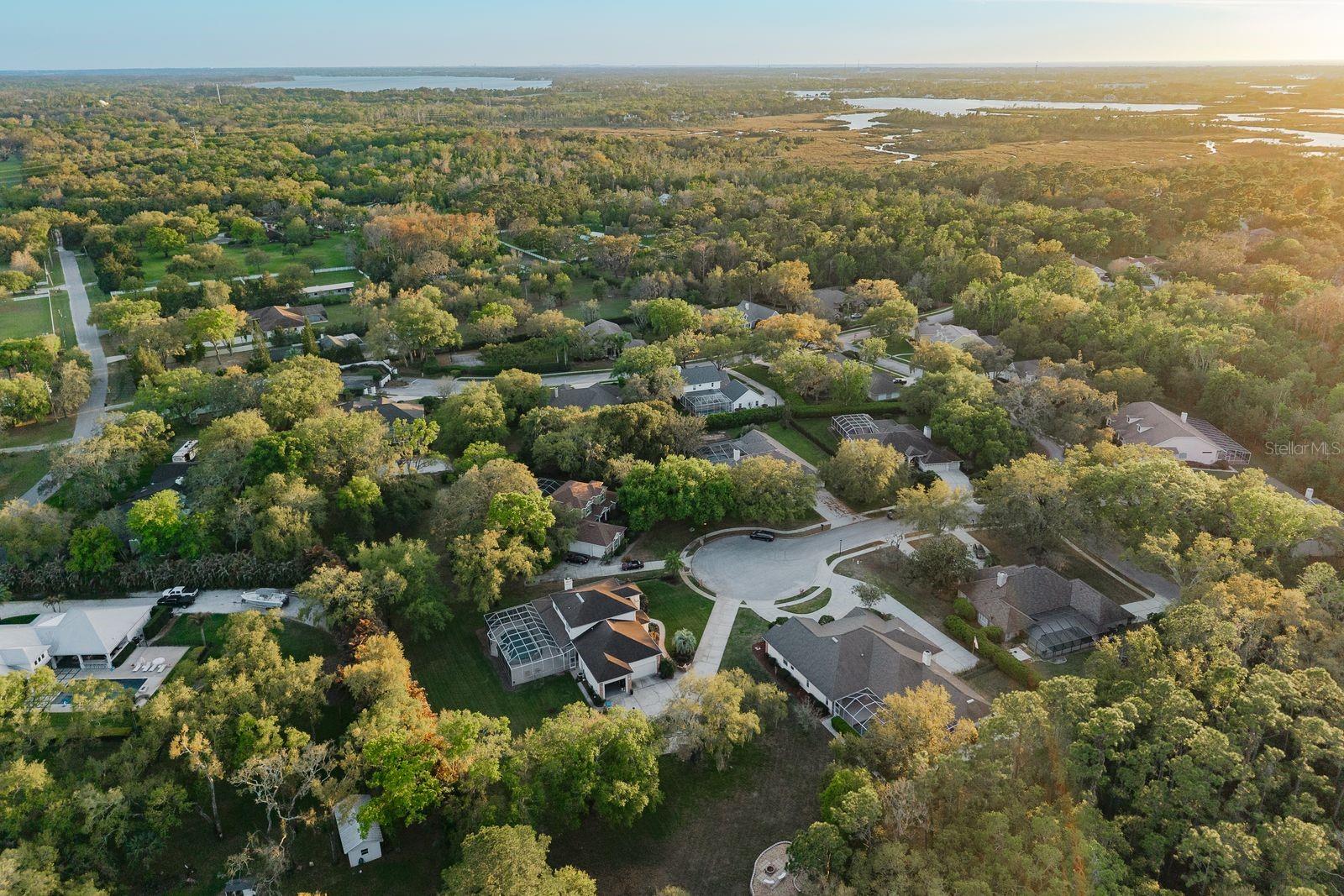 6207 CLAIRE DE LUNE CT — photo 81