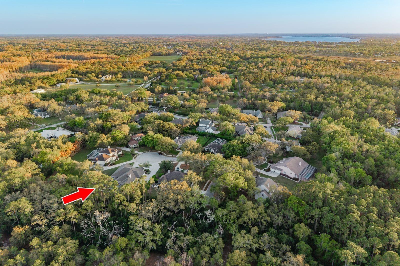 6207 CLAIRE DE LUNE CT — photo 82