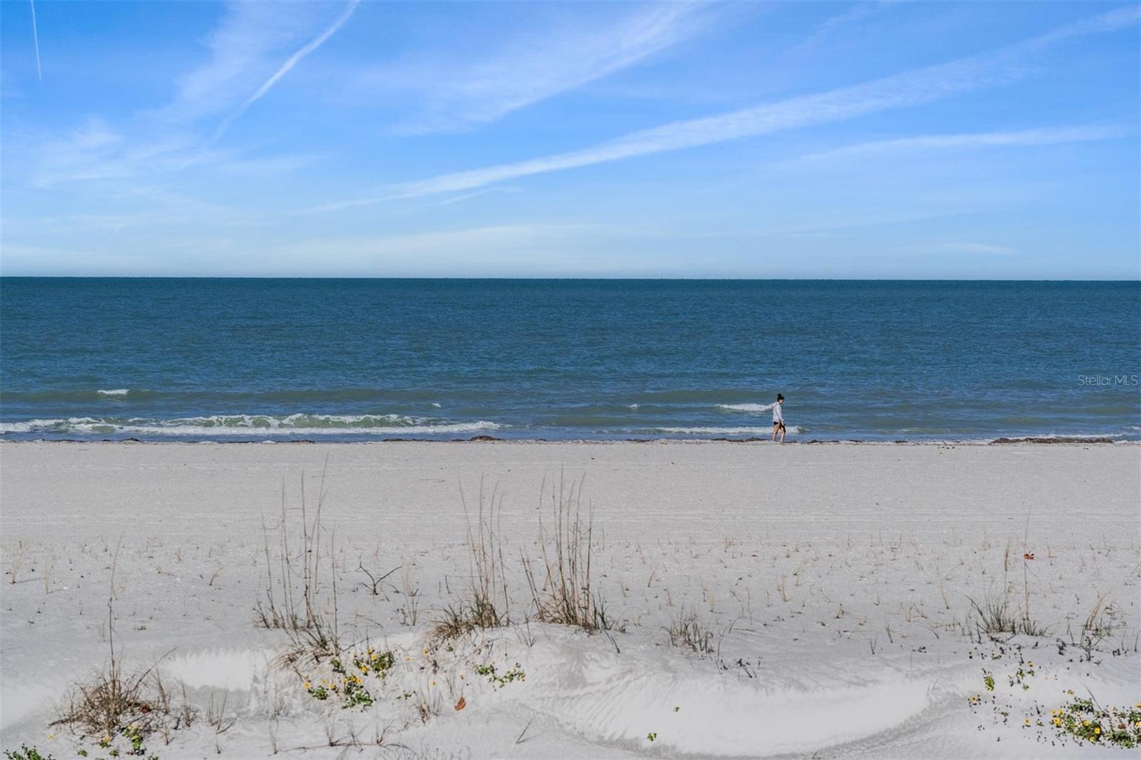 1400 GULF BLVD #109 — photo 41