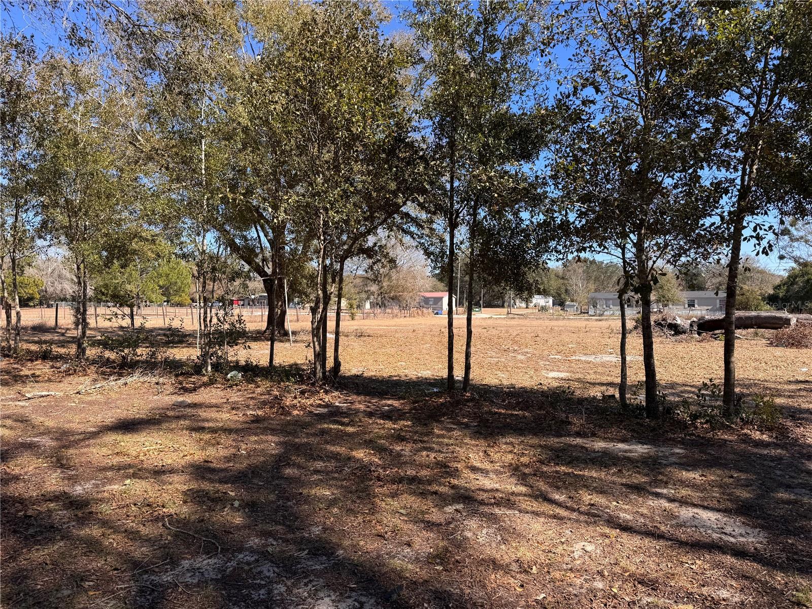7647 SHANNON LN — photo 31
