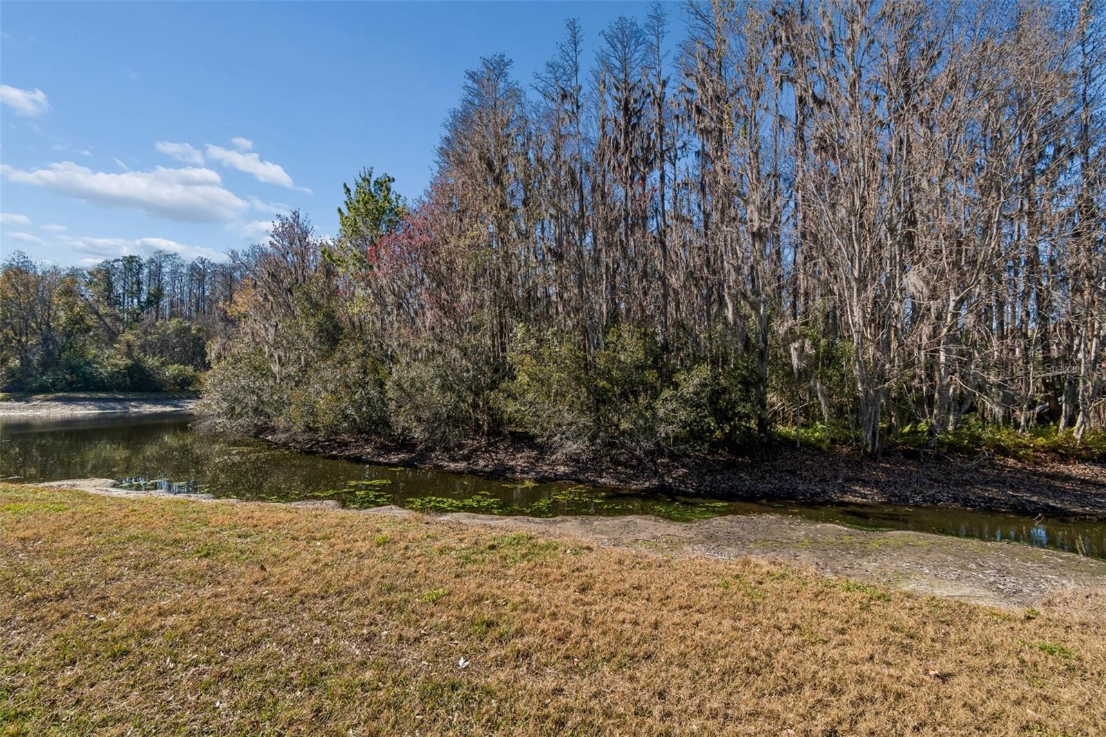 3511 BALLASTONE DR — photo 69