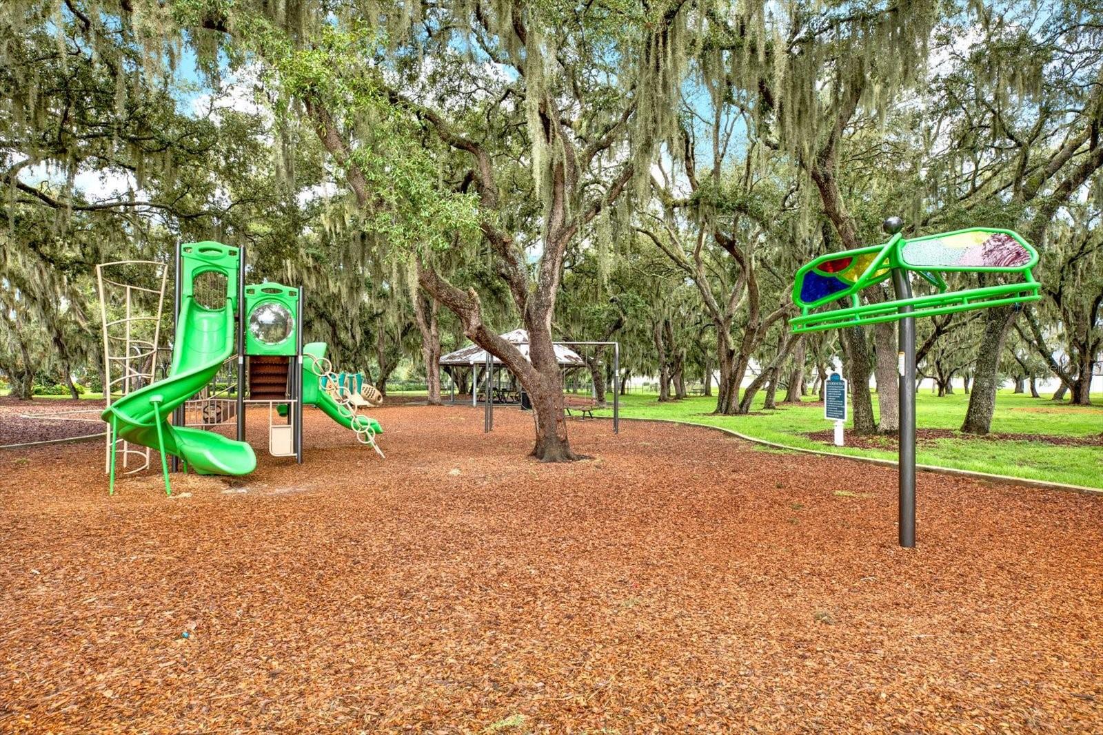 13113 WILDFLOWER MEADOW DR — photo 74