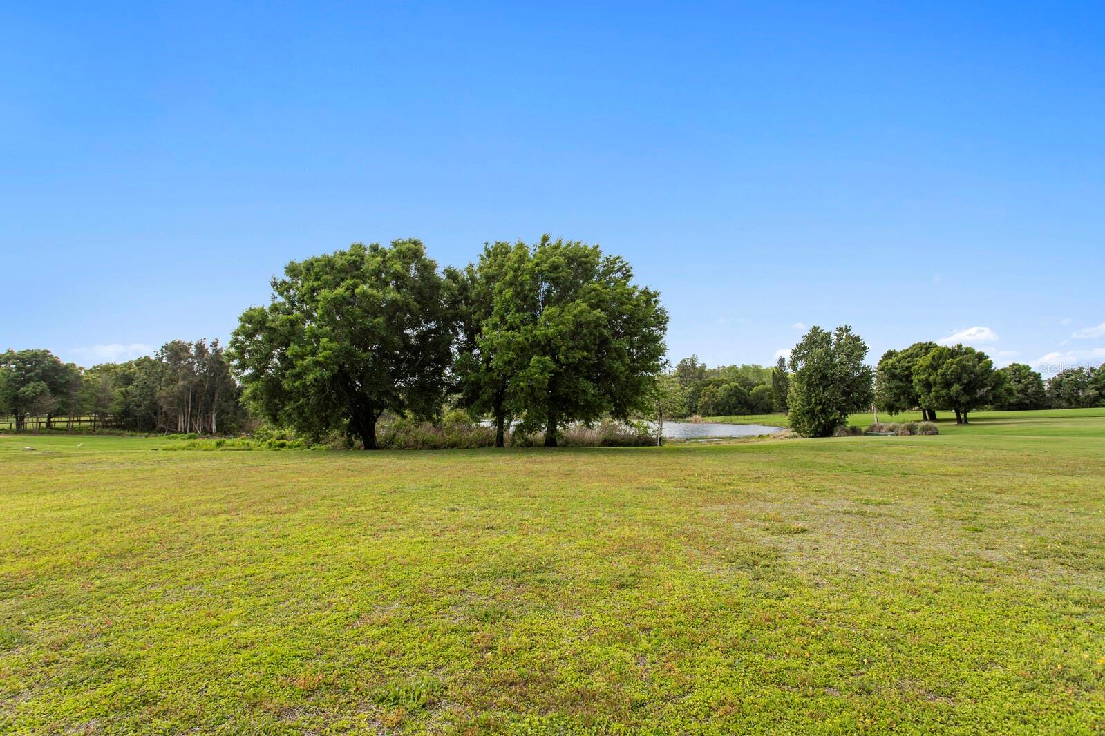 17253 BREEDERS CUP DR — photo 3