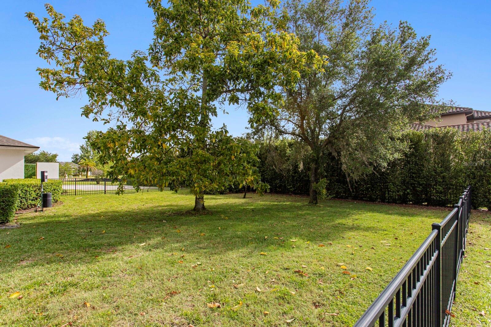 17253 BREEDERS CUP DR — photo 5