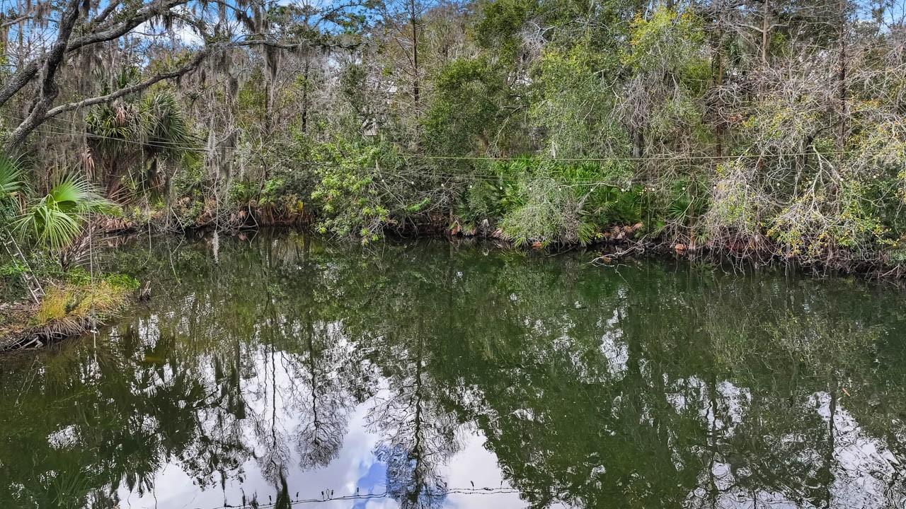 12730 BULLFROG CREEK RD — photo 12