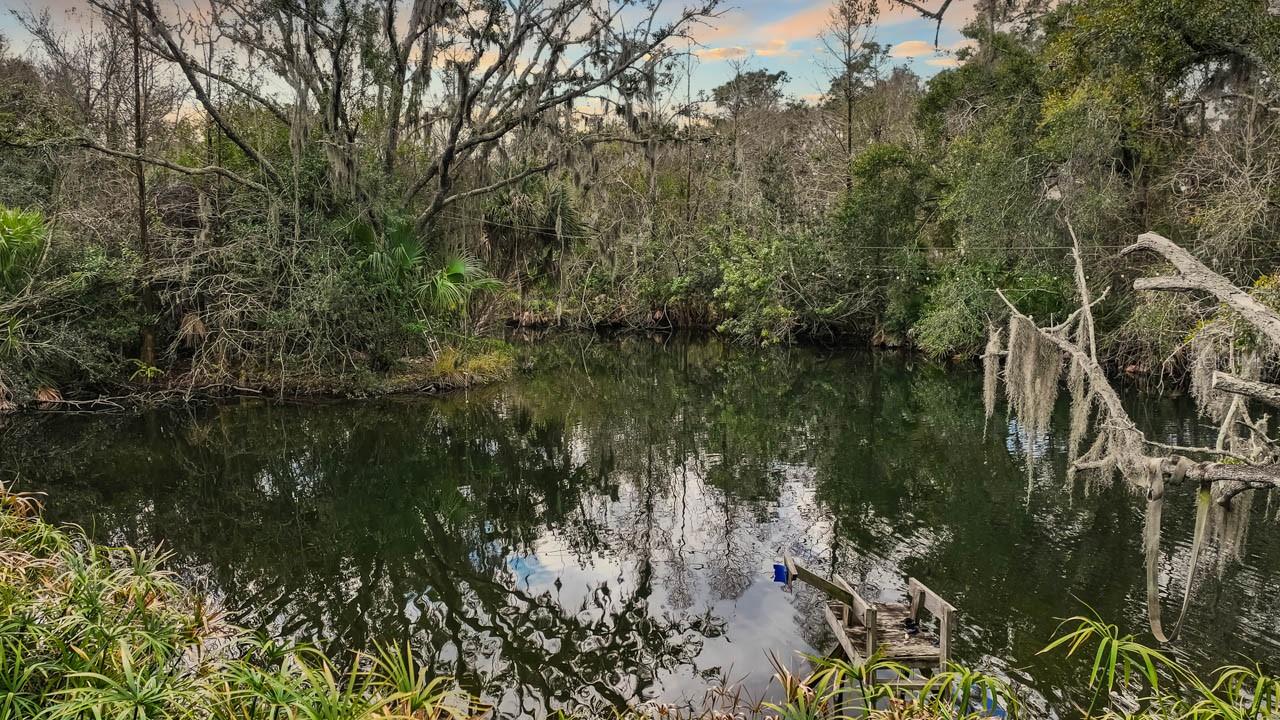 12730 BULLFROG CREEK RD — photo 11