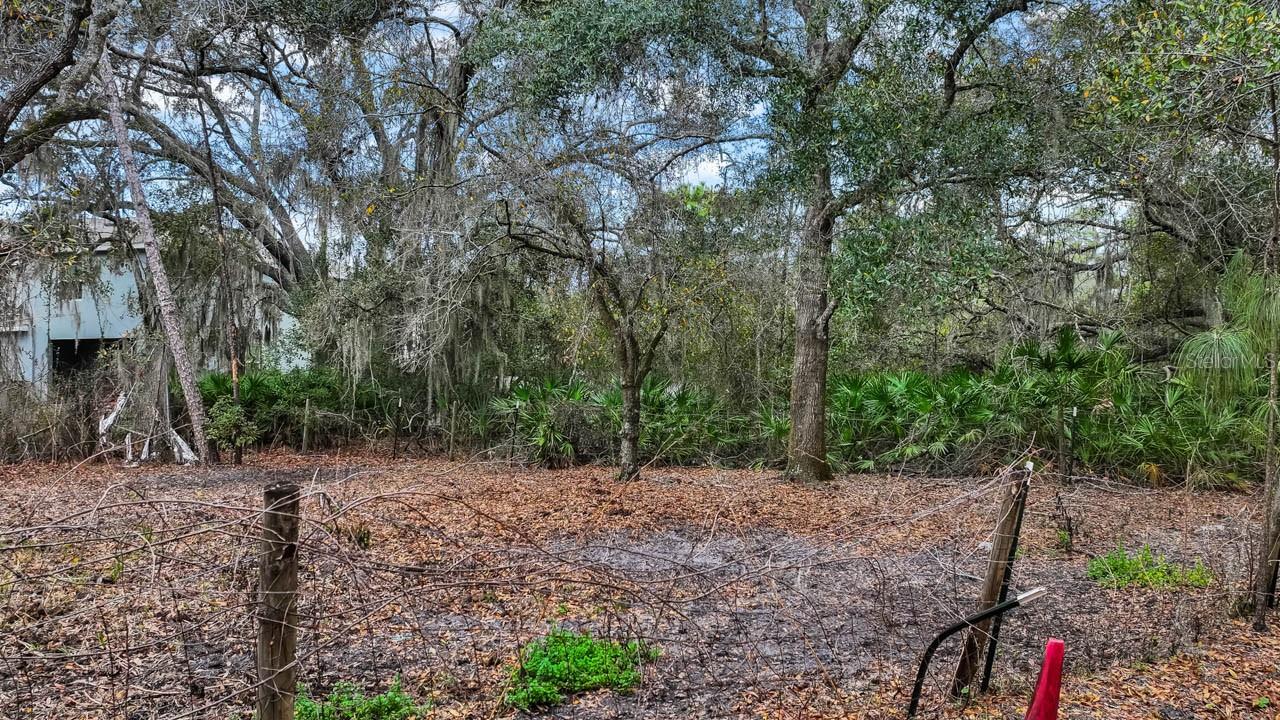 12730 BULLFROG CREEK RD — photo 15