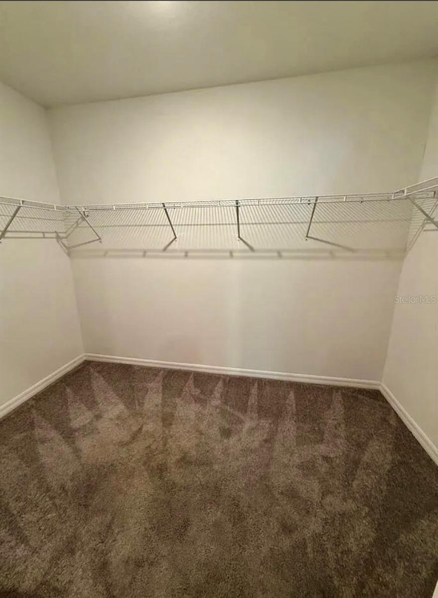 12957 WILDFLOWER MEADOW DR — photo 12