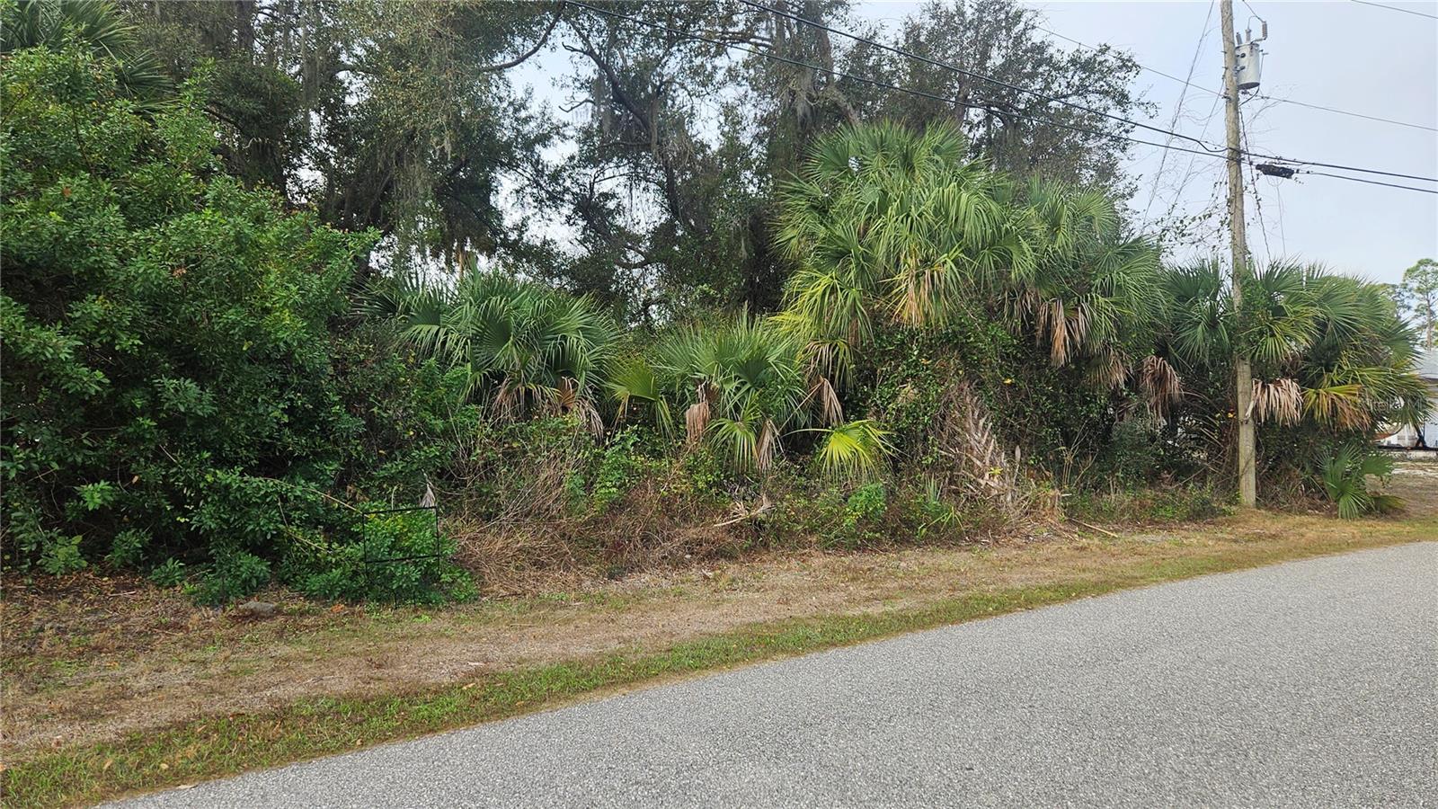 NADASKY LOT 47 AVE — photo 5