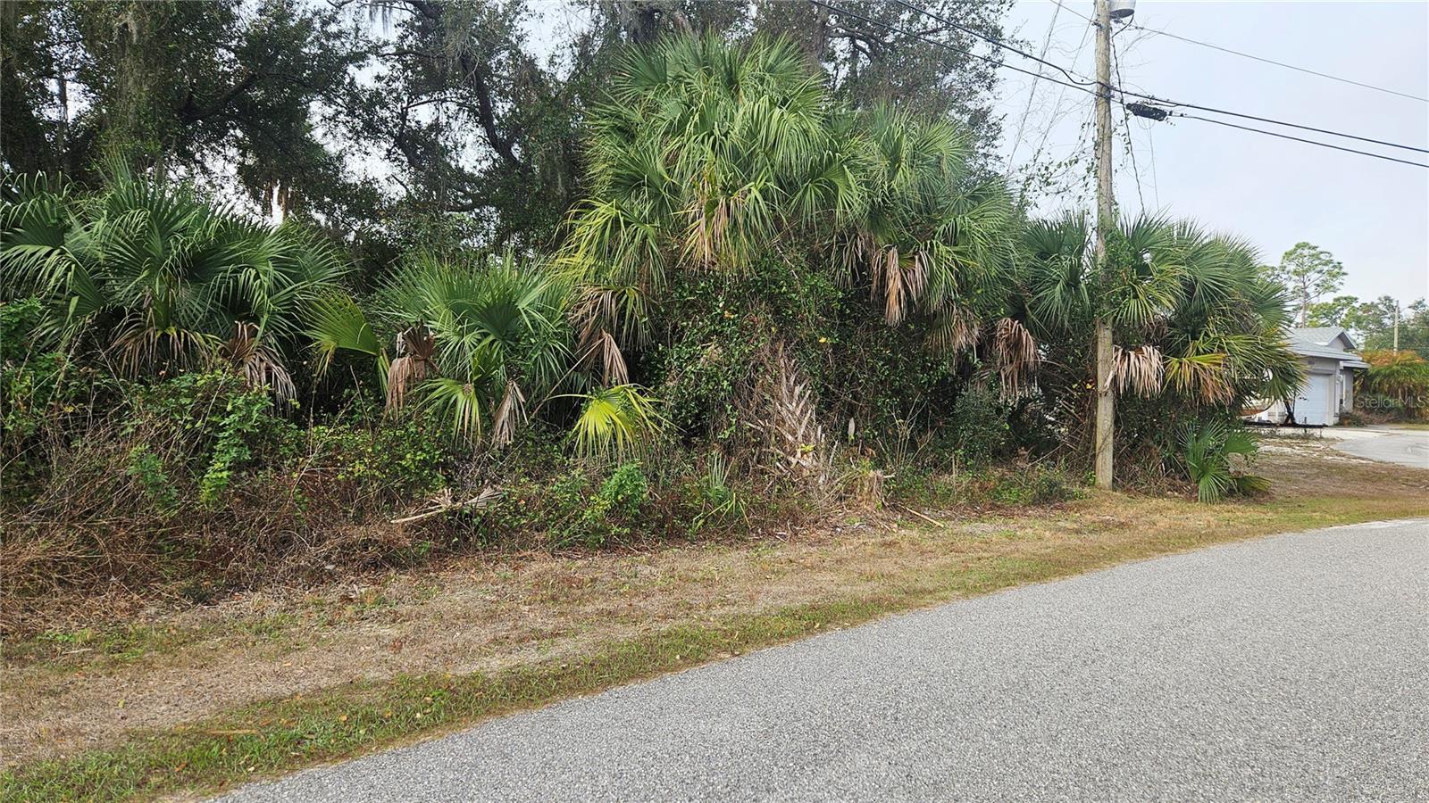 NADASKY LOT 47 AVE — photo 3